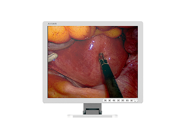 Цветной медицинский монитор 1 МП Jusha E190CG для хирургии, эндоскопии и операции